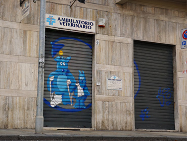 veterinario torino argentero