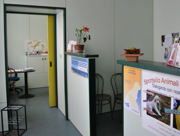 veterinario torino argentero