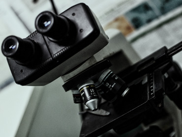 veterinario torino argentero