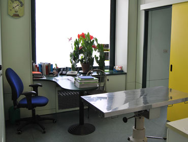 veterinario torino argentero