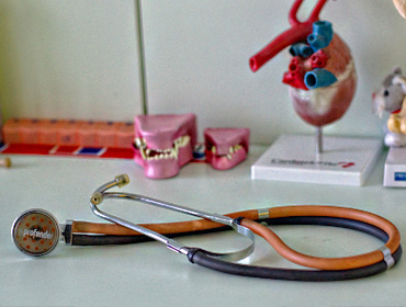 veterinario torino argentero