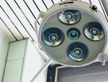 veterinario torino argentero