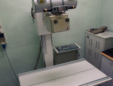 veterinario torino argentero